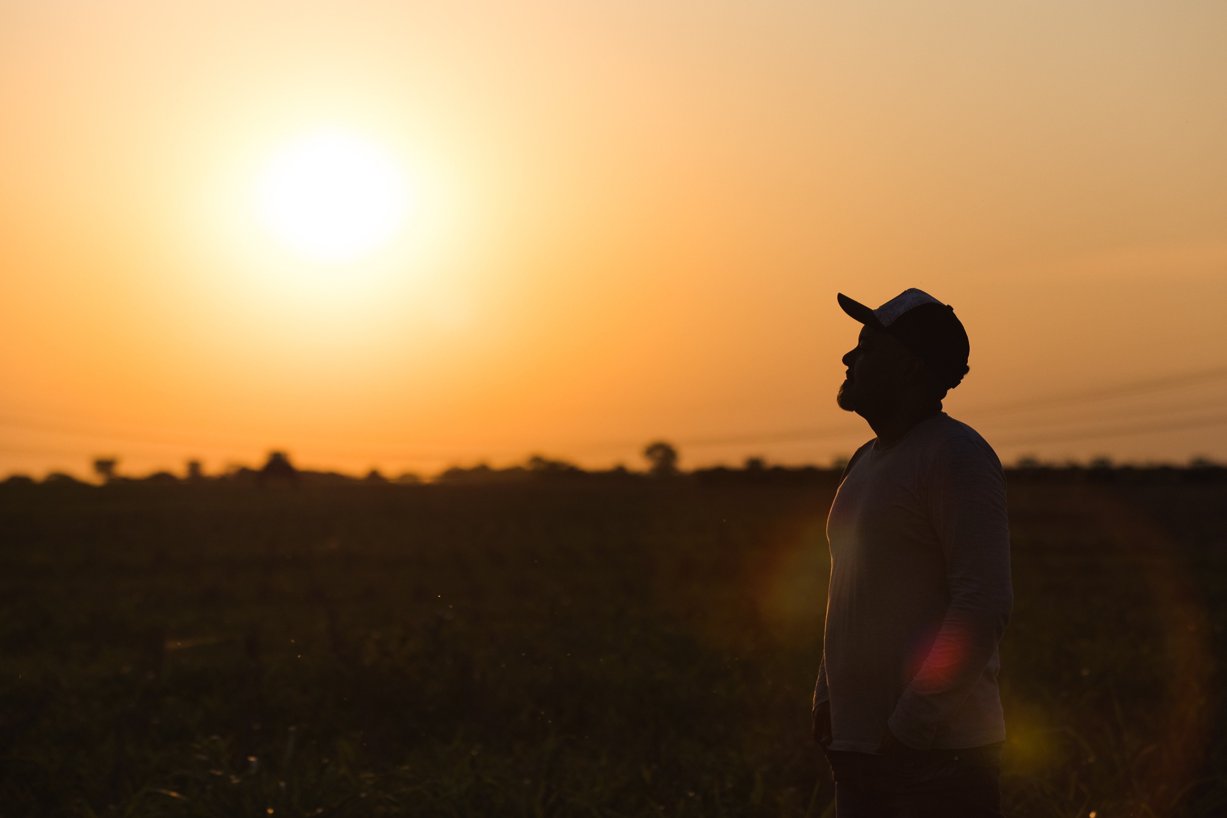 Farmer during sunset