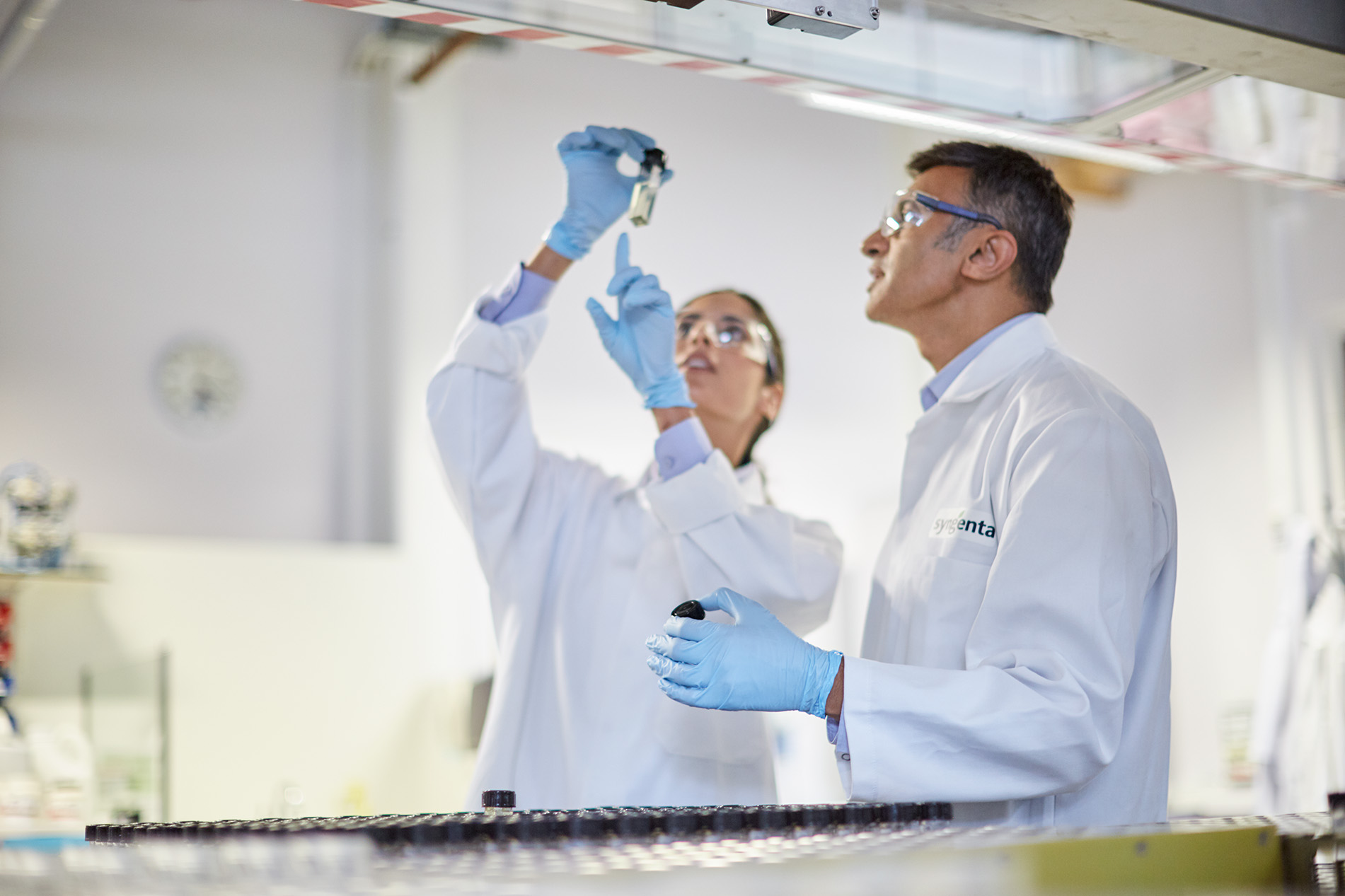 Scientists in a laboratory