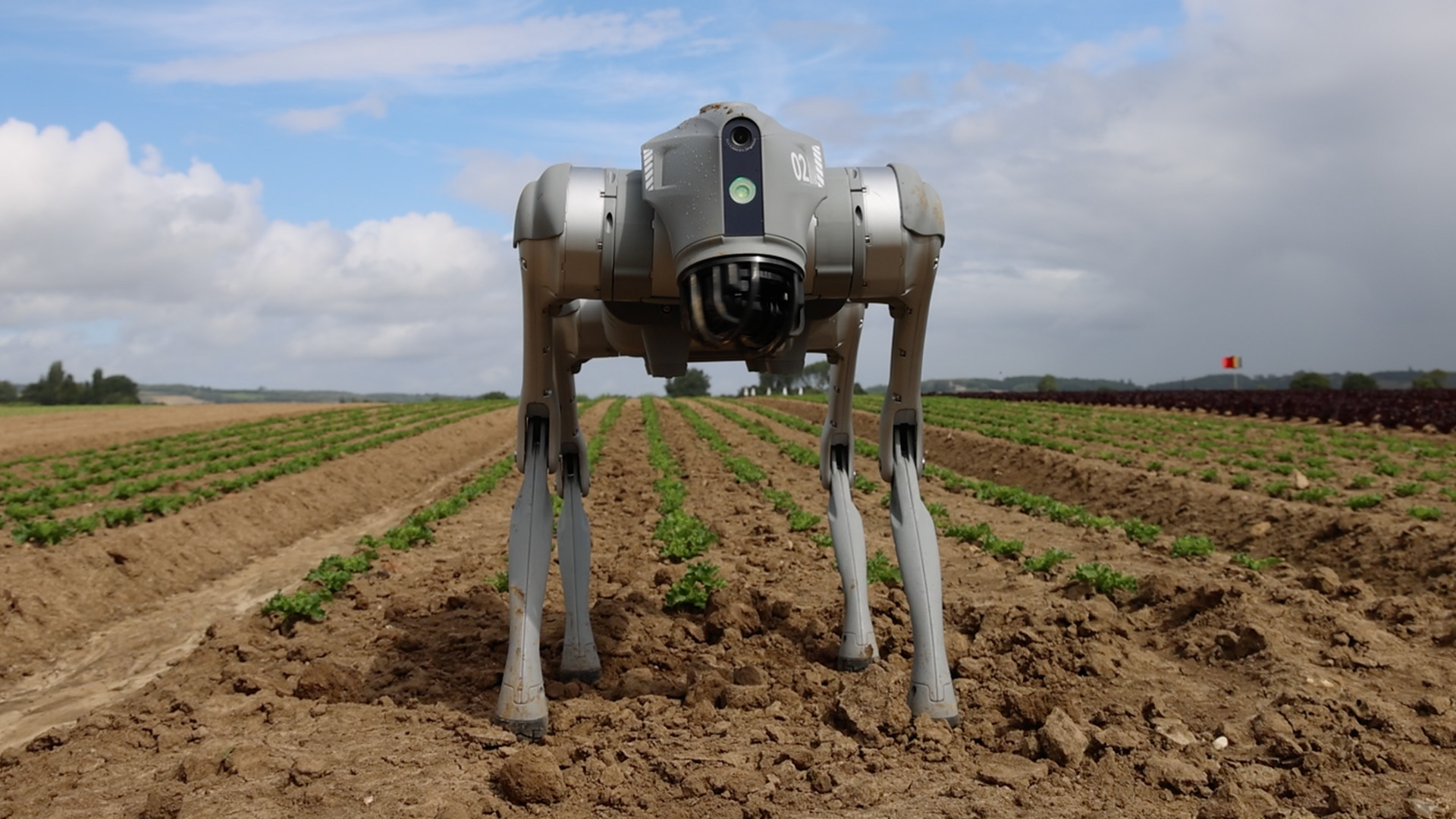 RoboDog in field