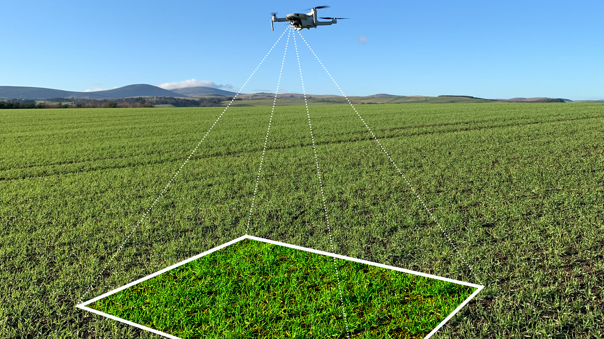Drone over a field in Italy