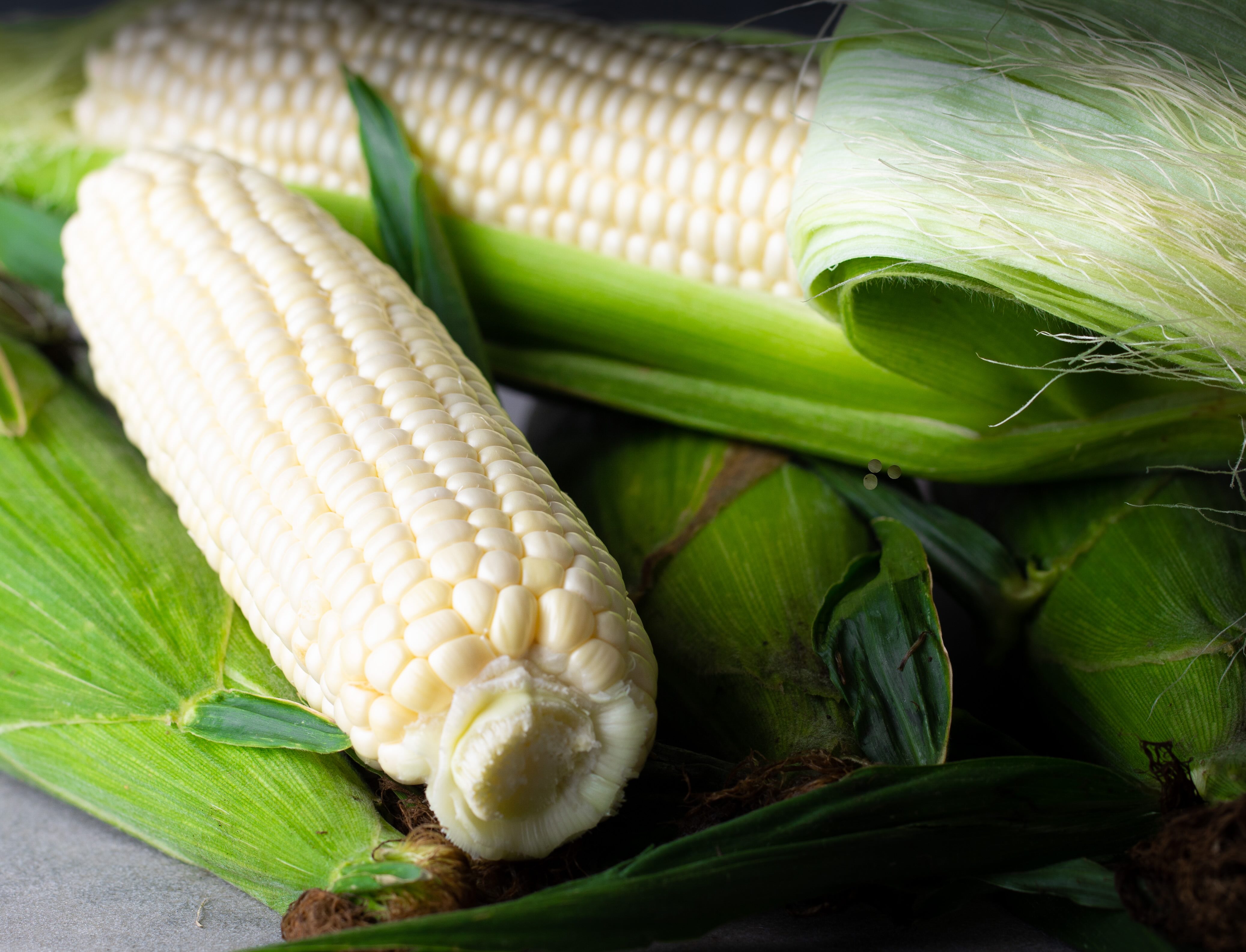 Glacial white sweet corn
