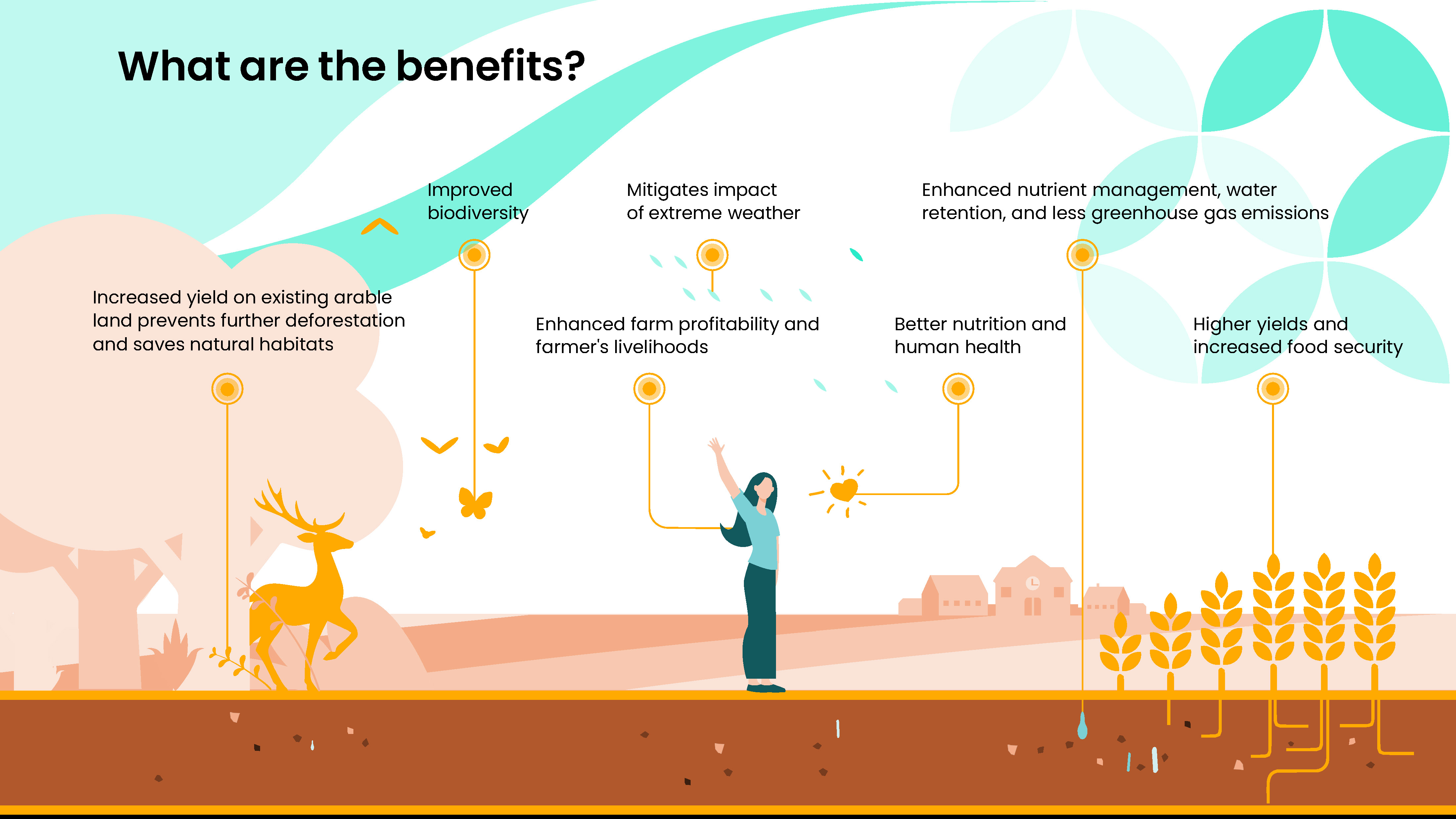 Regenerative Agriculture Benefits infographic