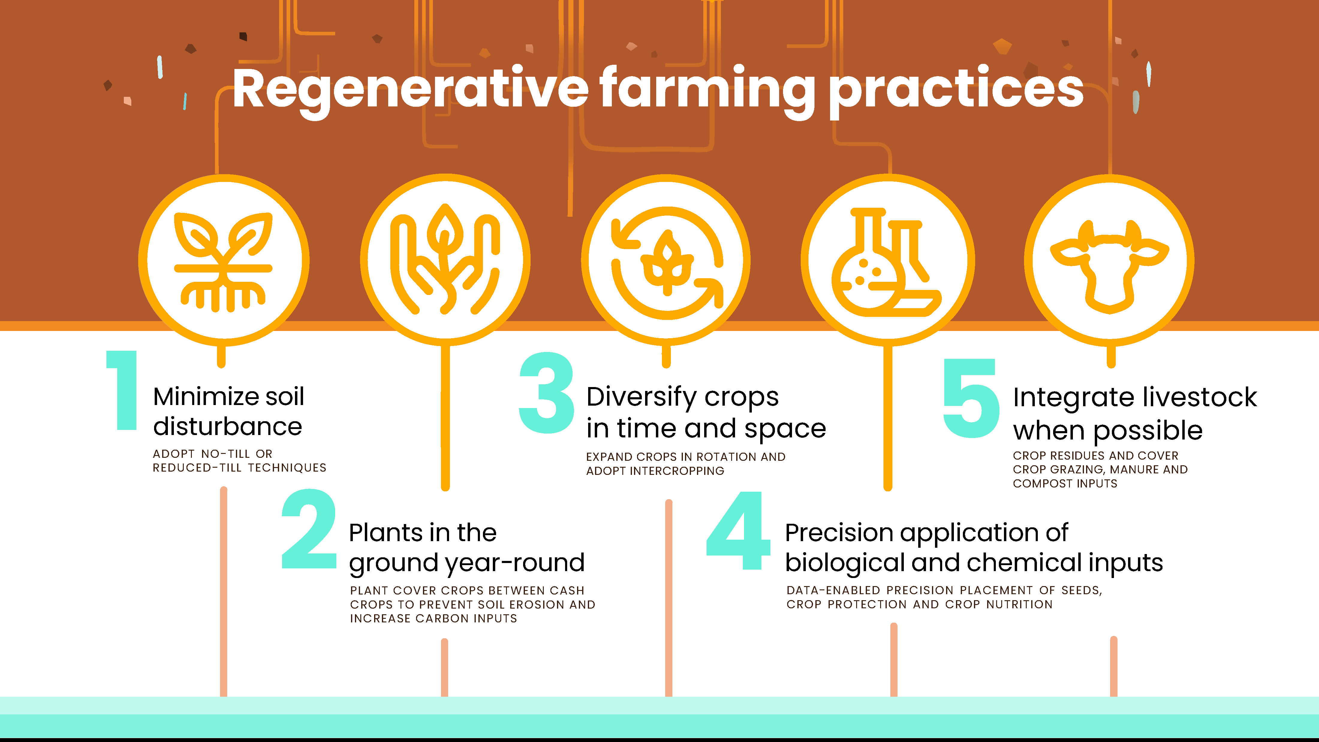 Regenerative Agriculture Practices Infographic