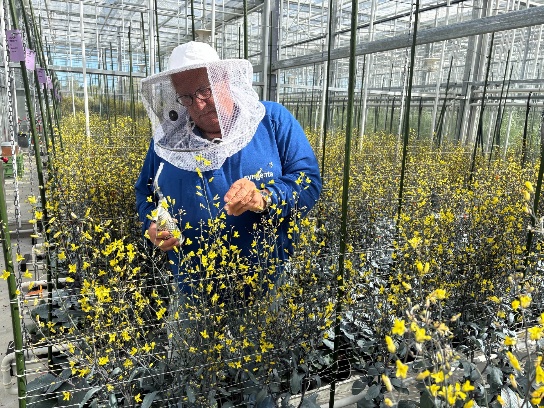 Joop Kampen beekeeper