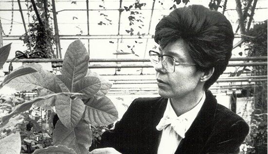 Mary-Dell Chilton