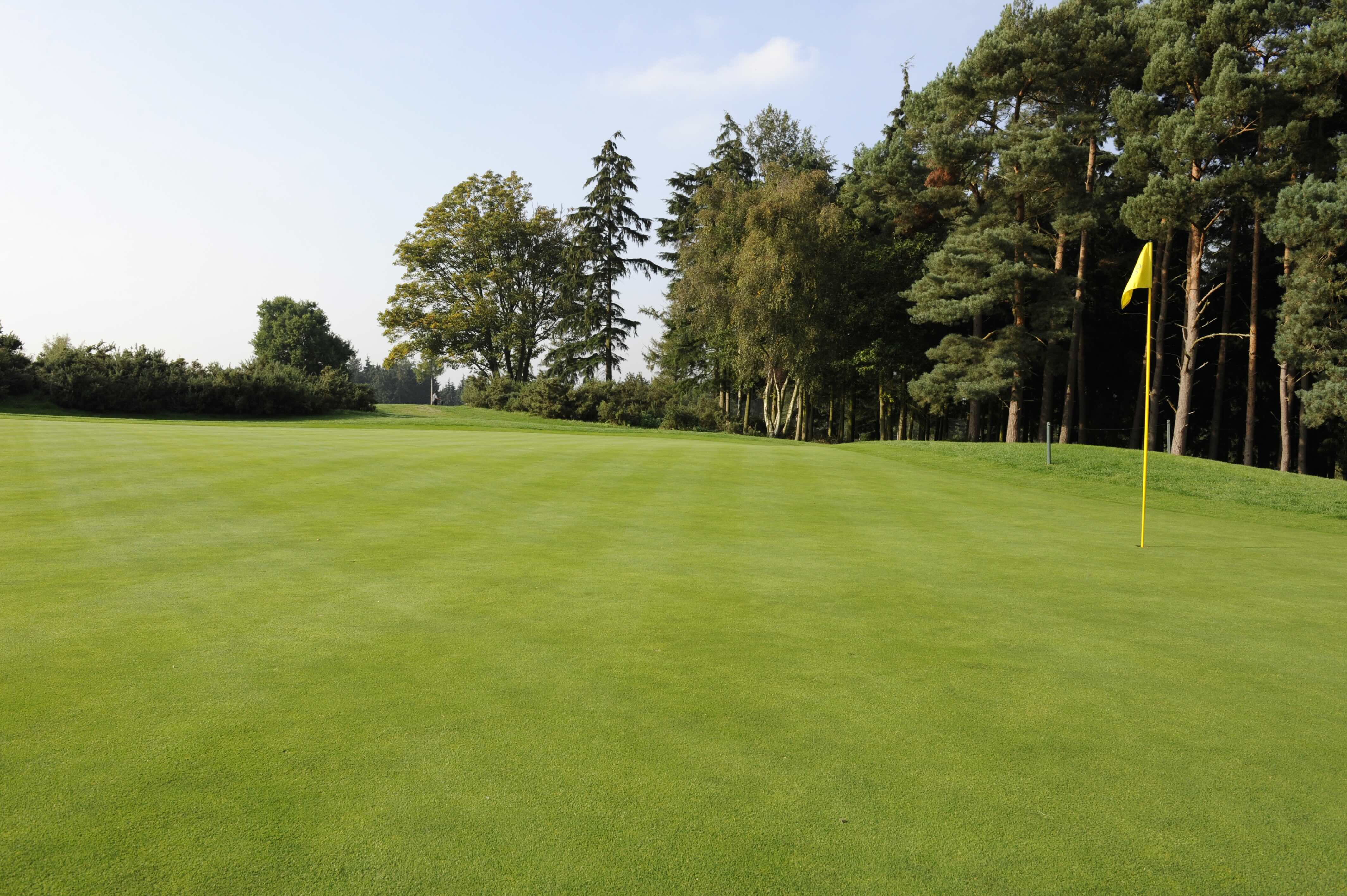 Golf course
