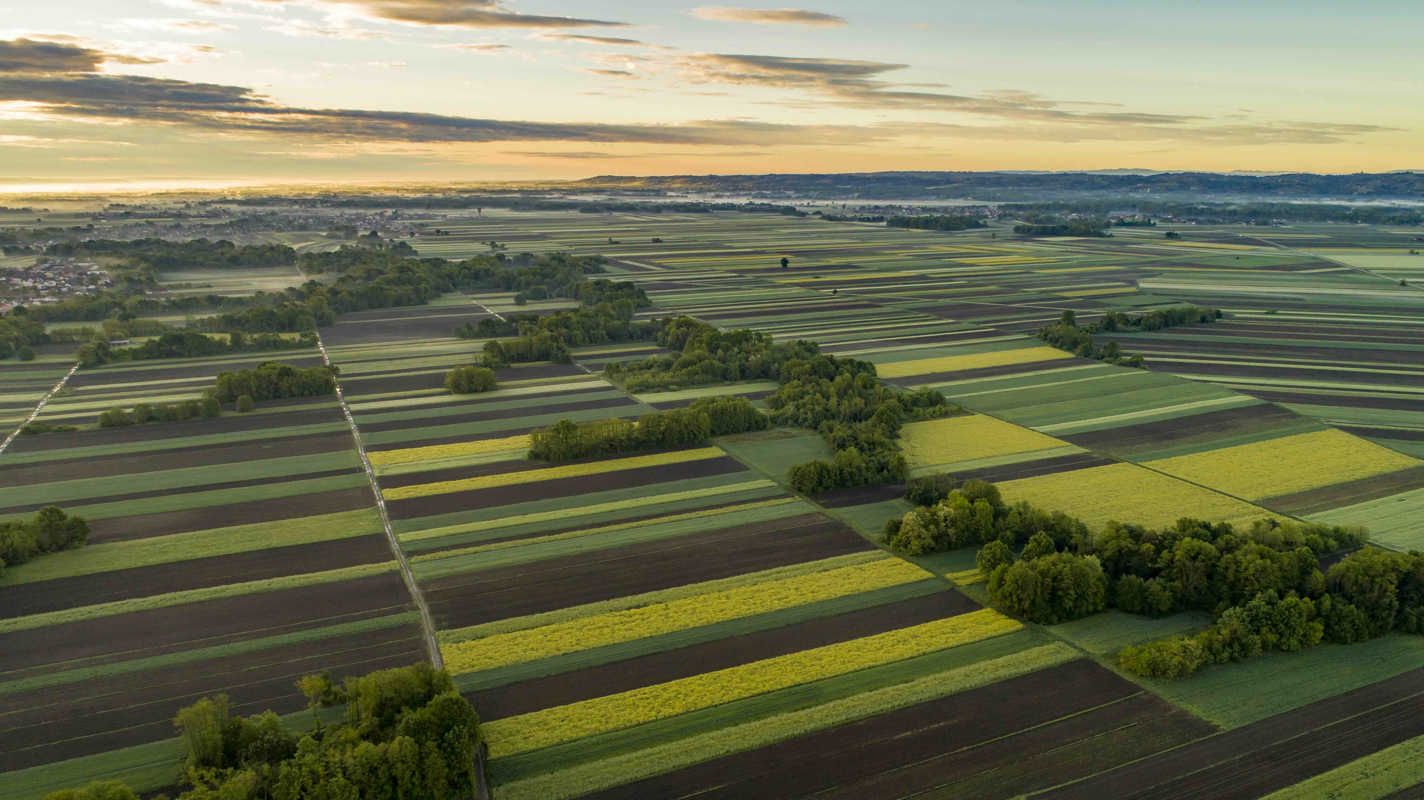 Syngenta Group’s subsidiary, Syngenta AG, publishes its 2026 half year results