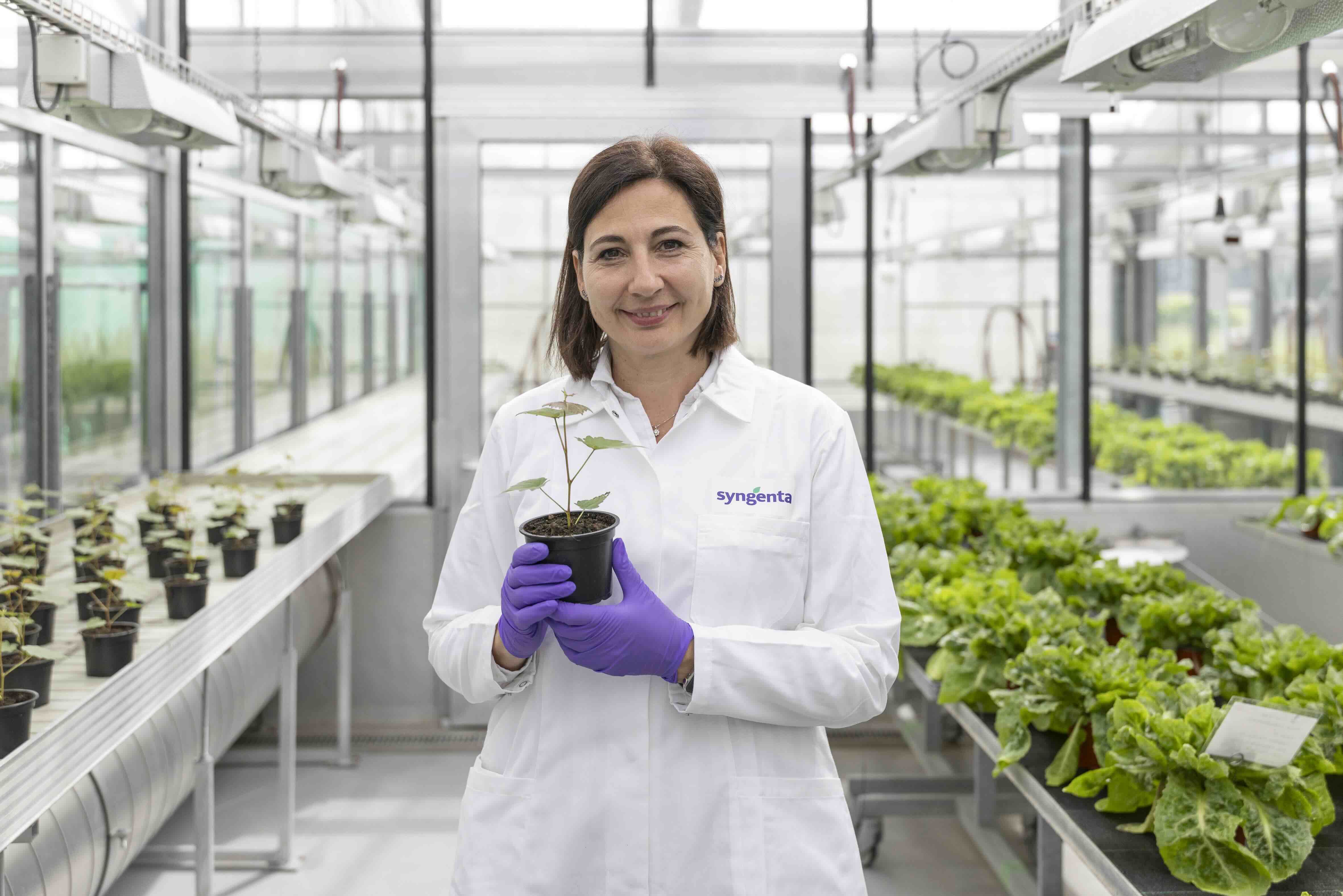 American Chemical Society names Syngenta's Camilla Corsi the 2026 winner of prestigious International Award for Research in Agrochemicals