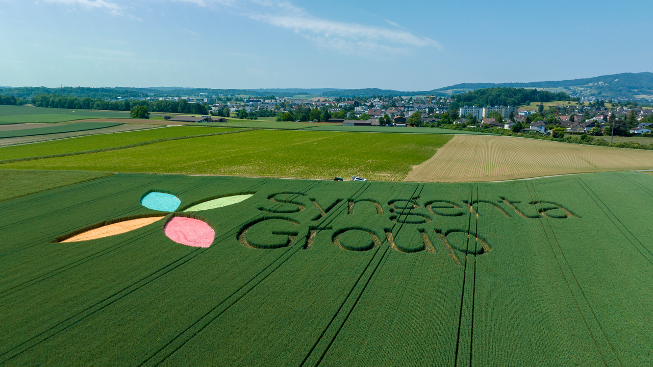 Syngenta Group publishes its 2026 H1 results