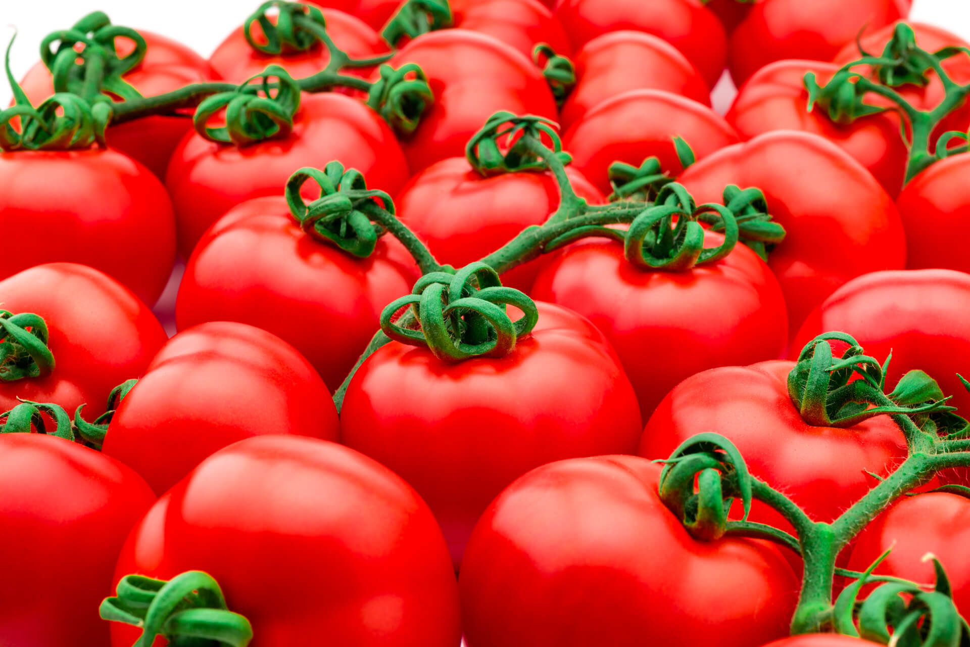 Major scientific breakthrough increases crop yields by using the plant’s own natural mechanisms