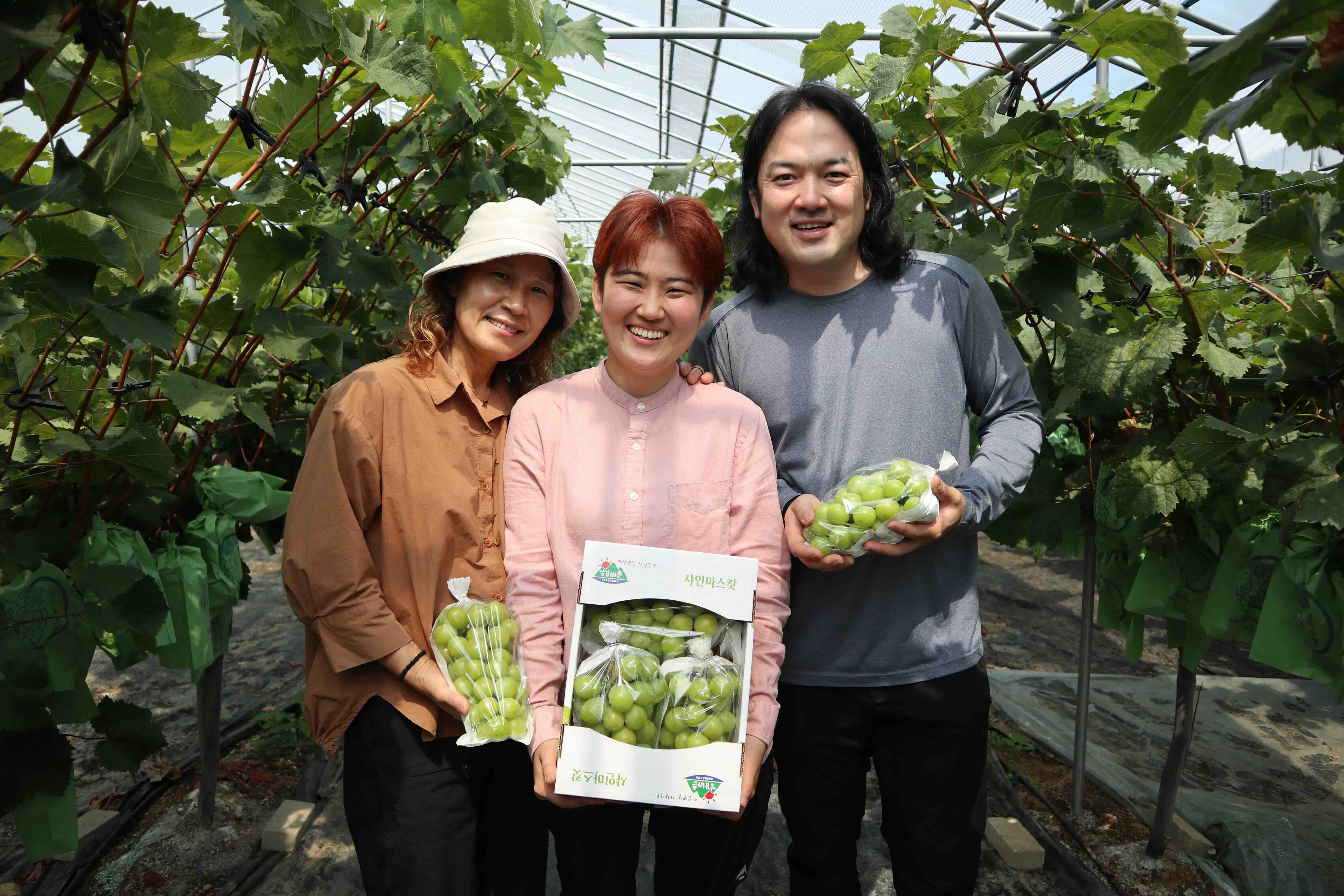 Young Korean Grape Farmers