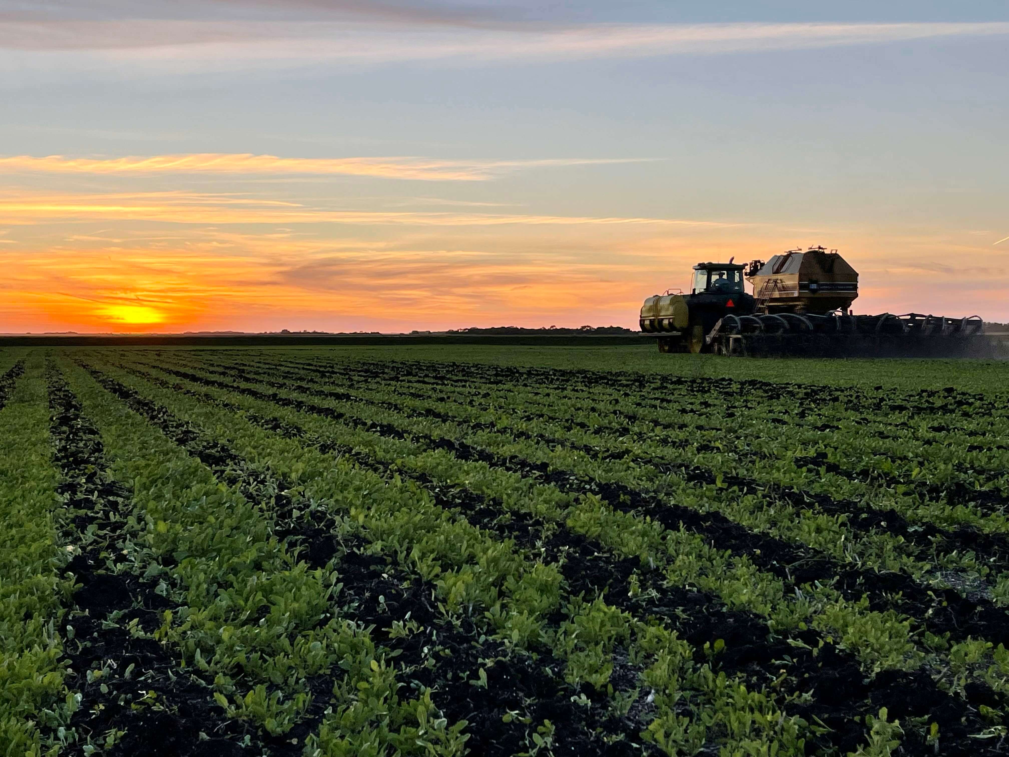 Soil health strip till cover crop
