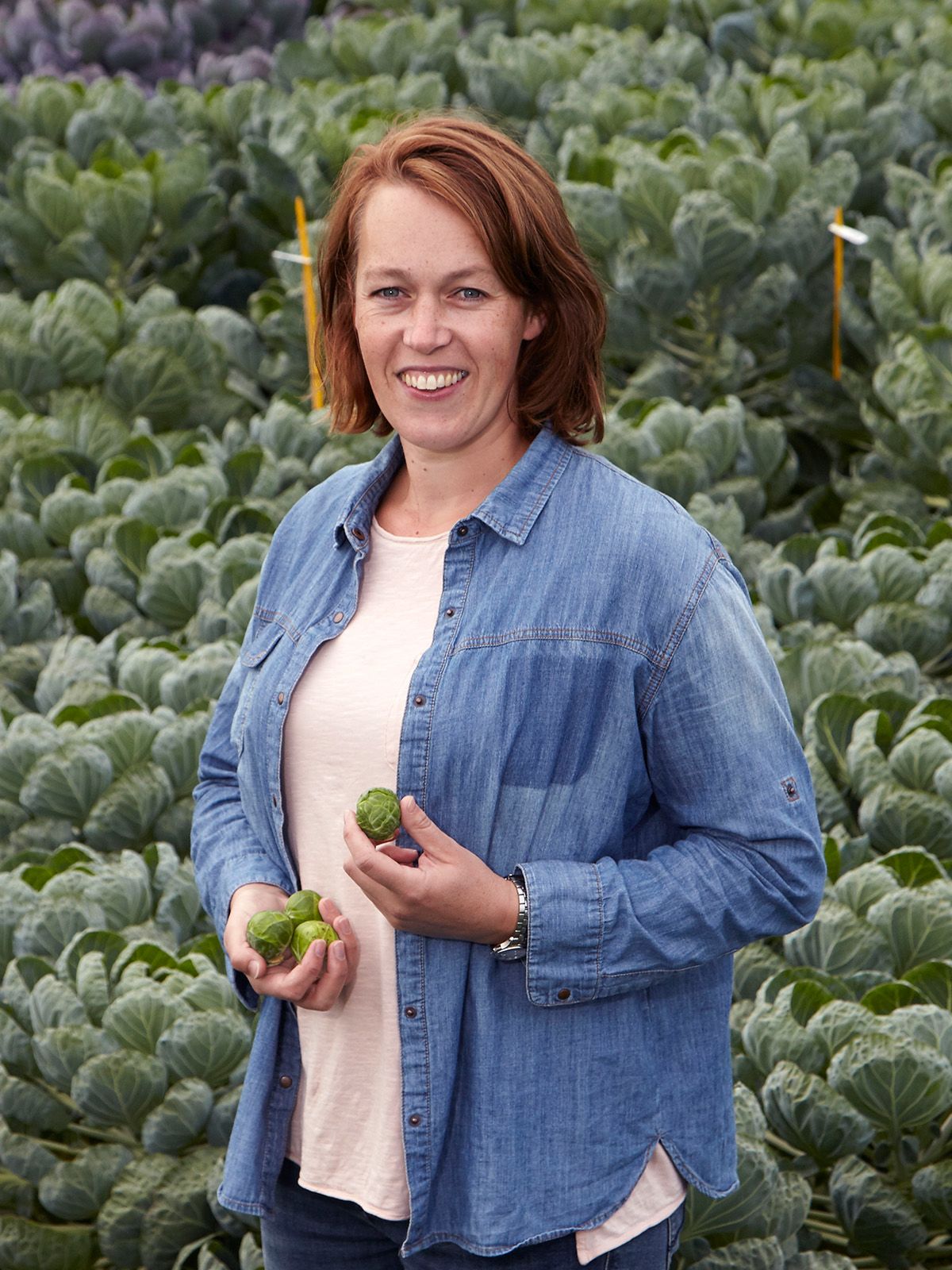 Joske van den Burg, Breeder in Syngenta’s Germplasm Development team.