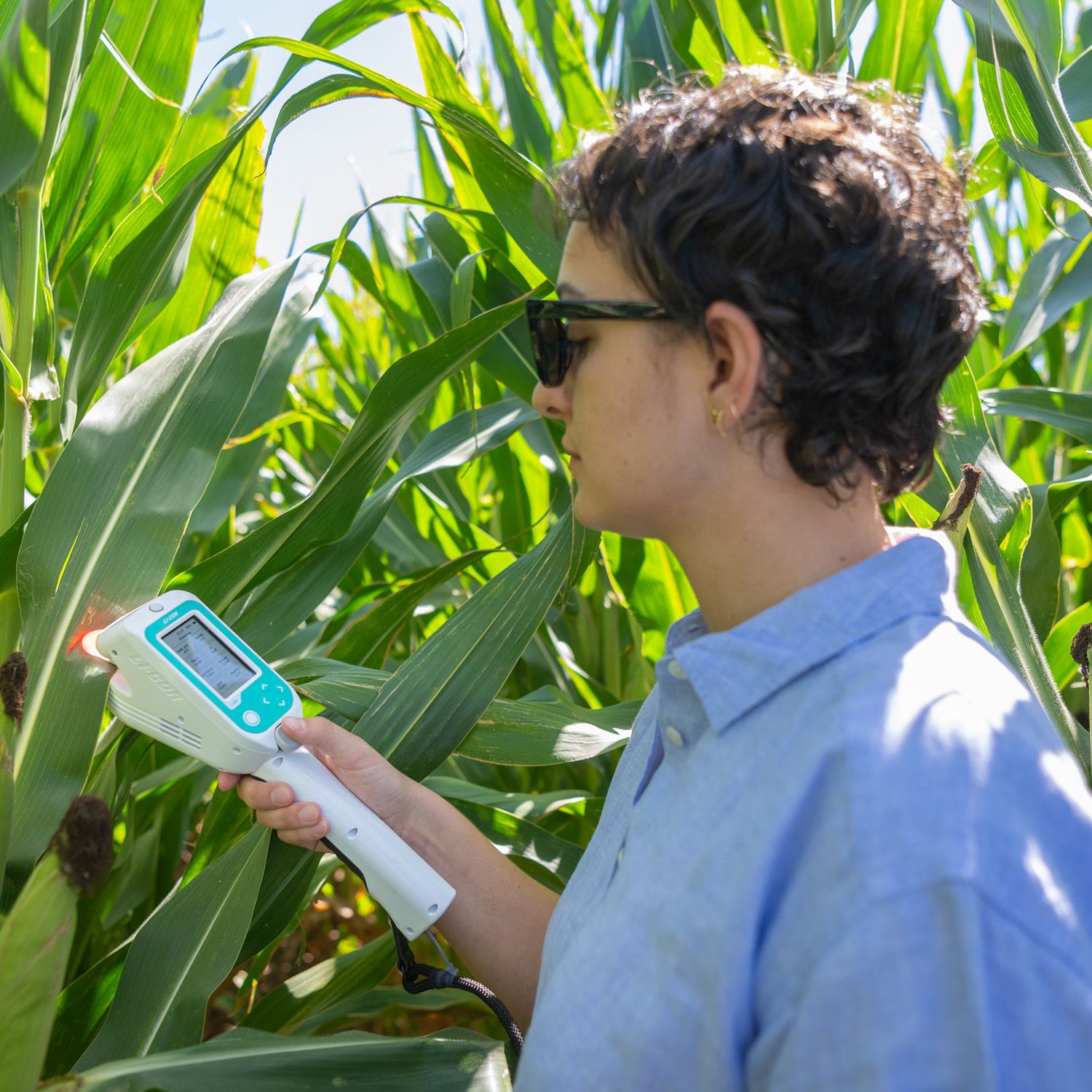 Tara Ippolito, Post Doc Soil Health, Syngenta