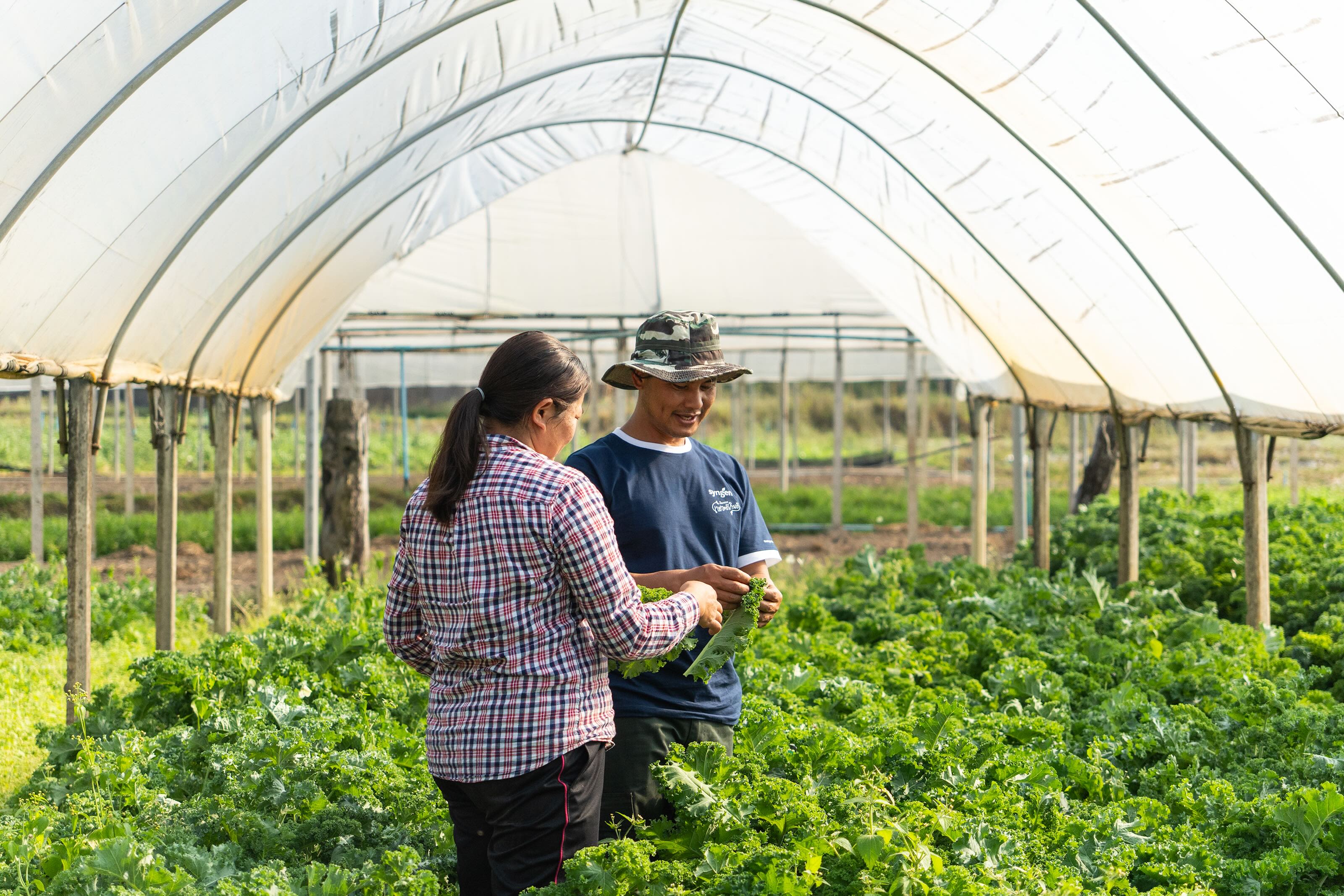 Syngenta is empowering Thai farmers to build sustainable livelihoods ...