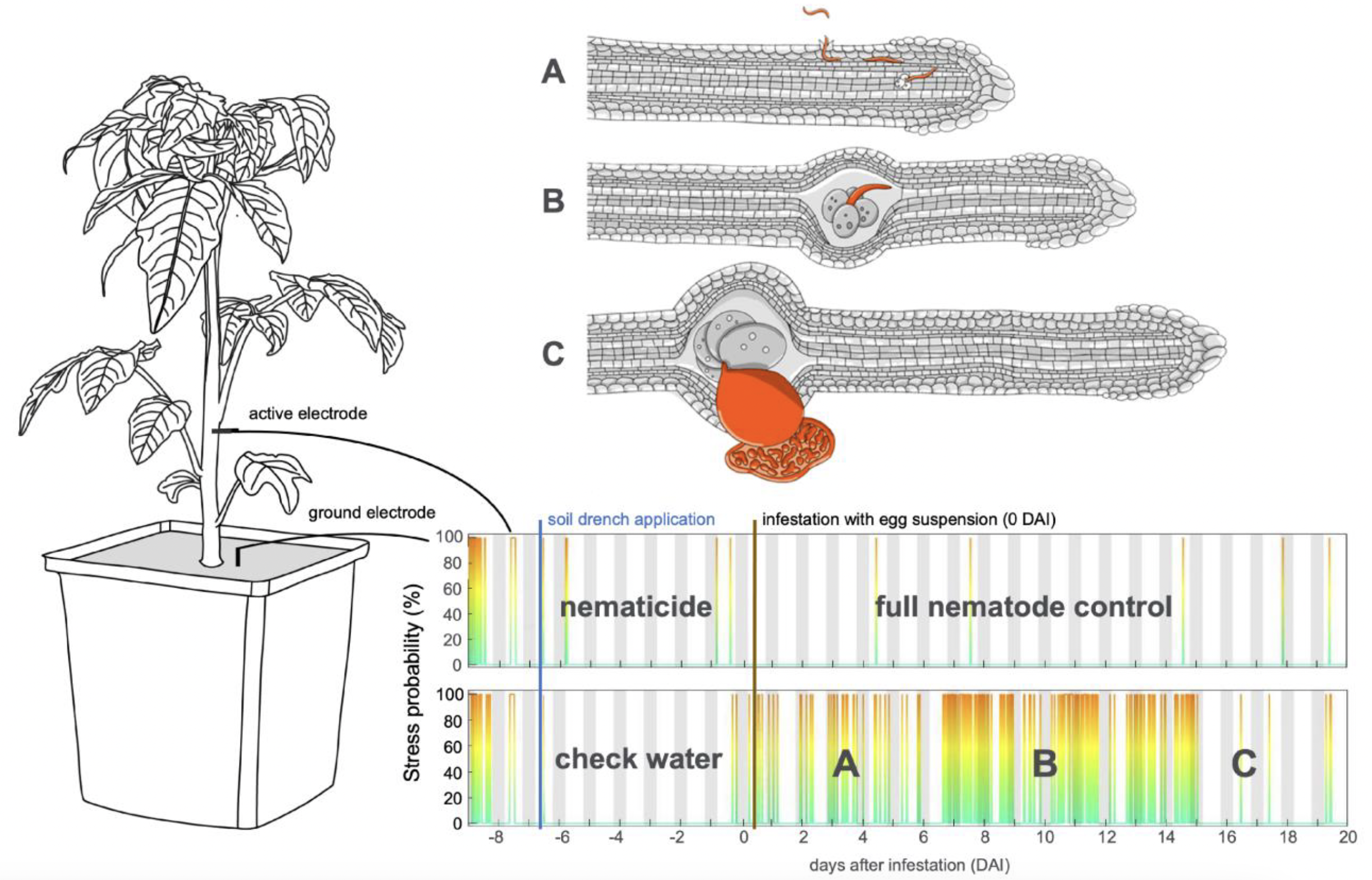 Bringing light into the dark - plant electrophysiological monitoring of root knot nematode infestation and real-time nematicide efficacy.