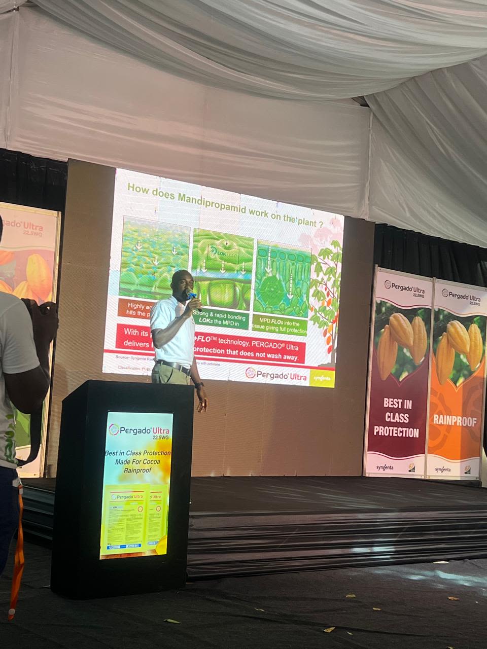Kingsley Adade, Technical Field Expert - West Africa