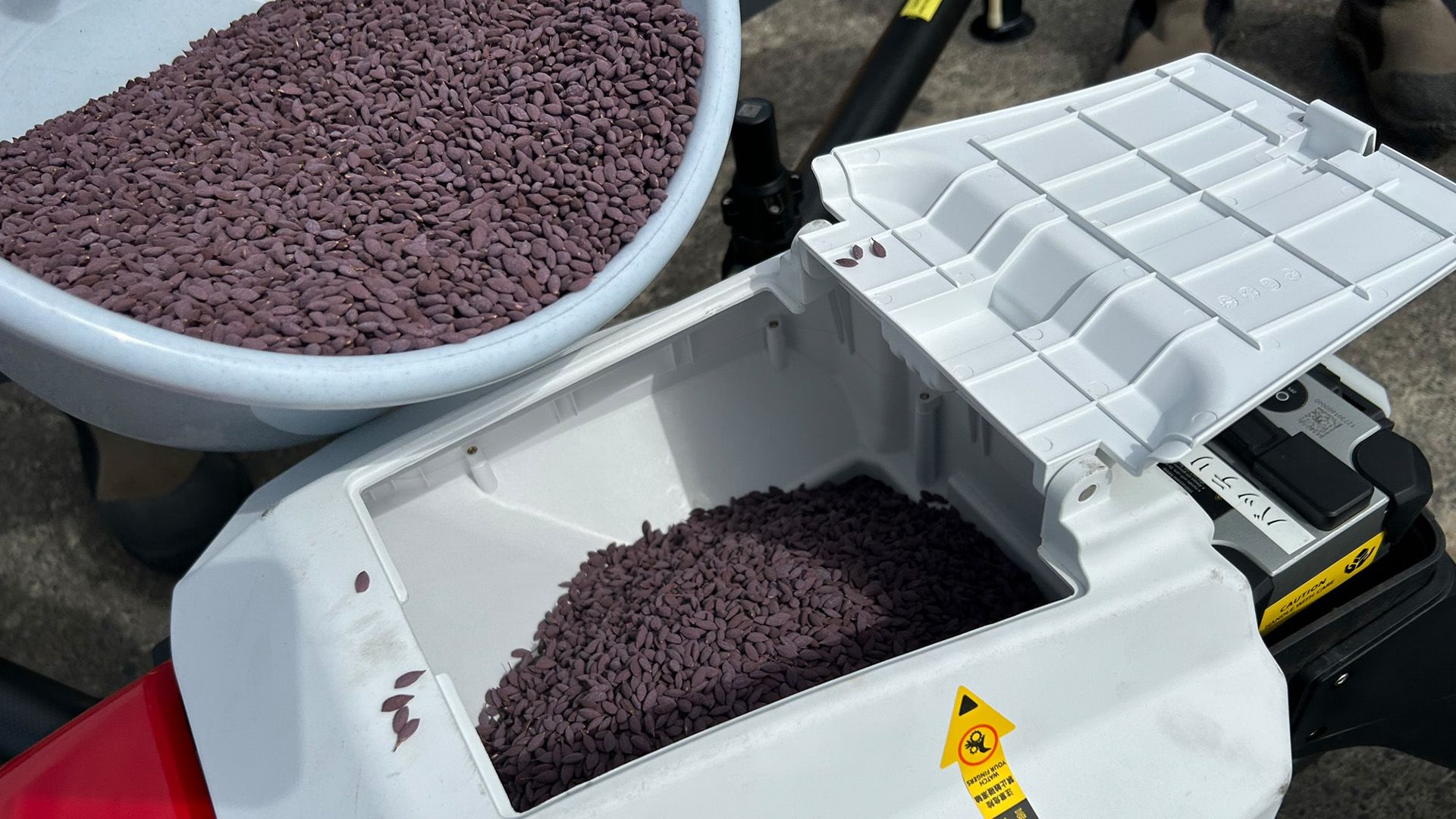 RISOCARE® seeds being loaded into a planter for direct seeding in the field.