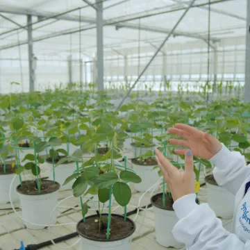 biologicals