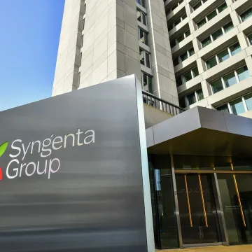 SG HQ 