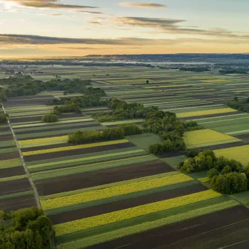 Aerial view of field for financial results 2026