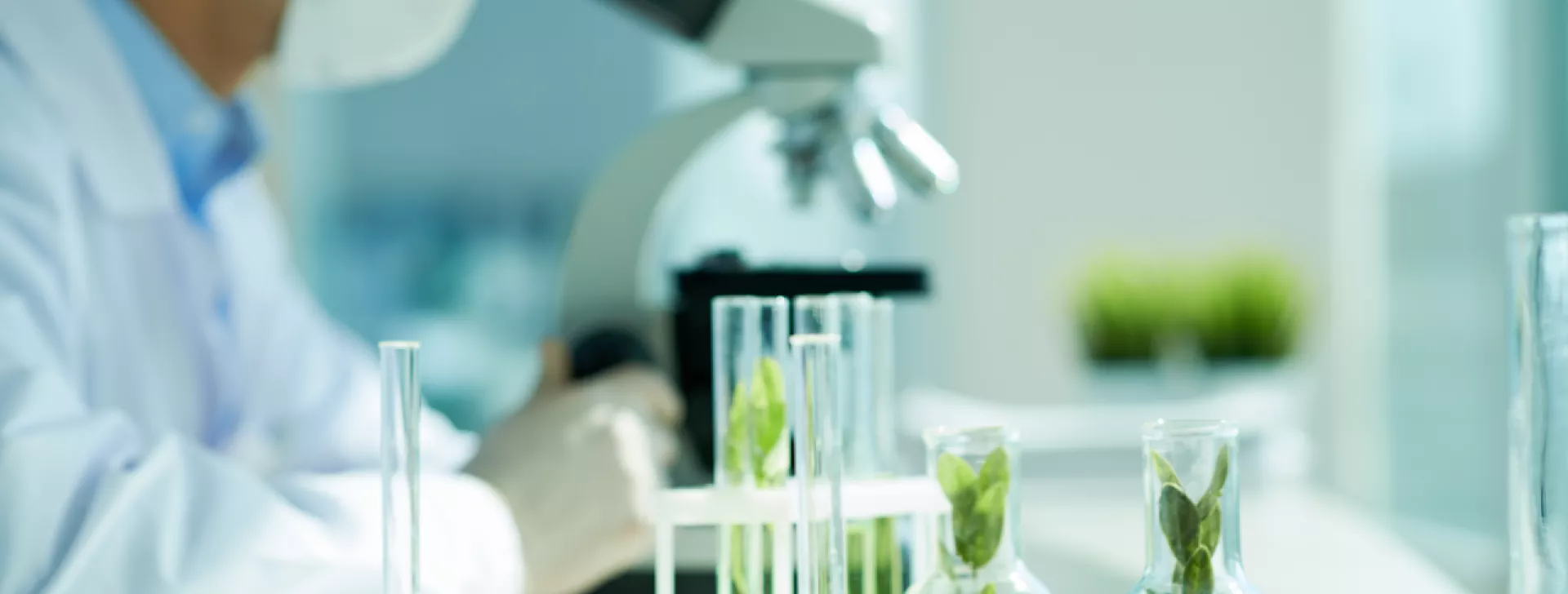 Biologists at work