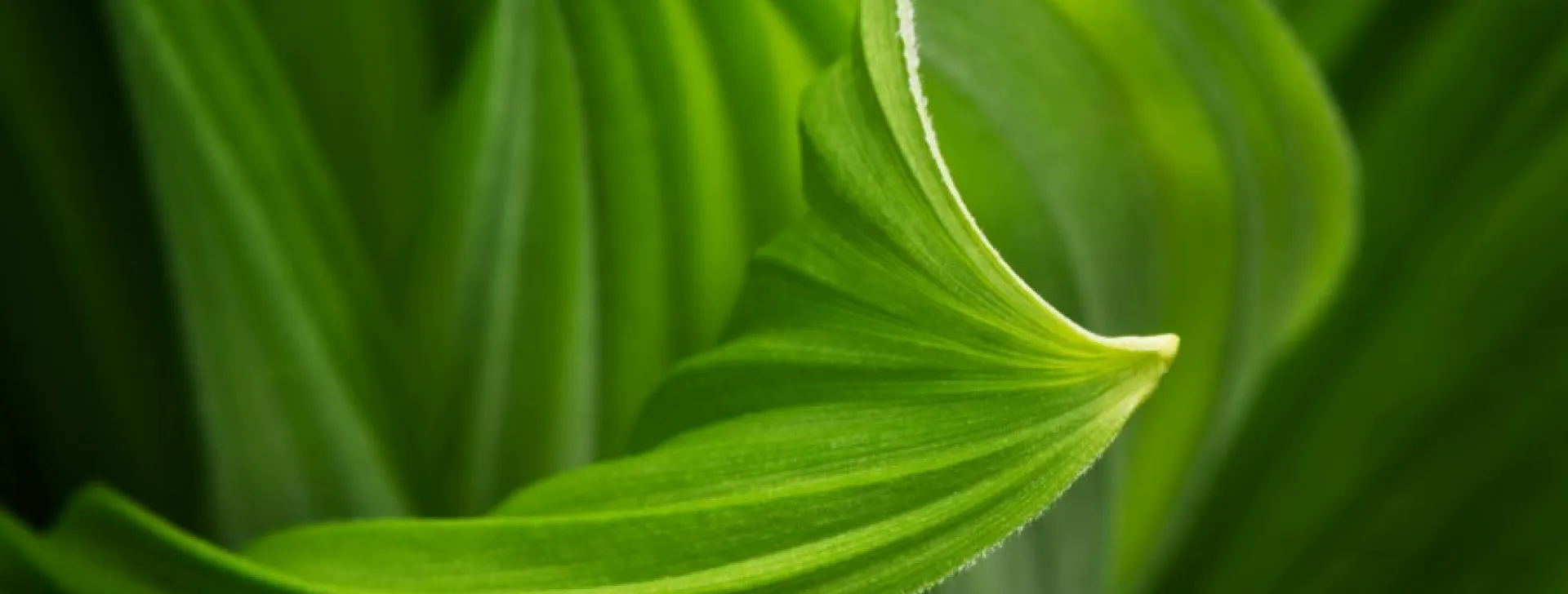 Sustainability priorities
