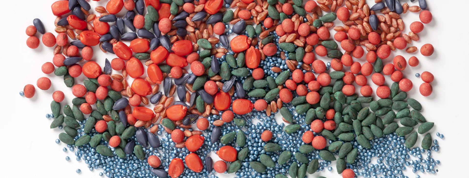 banner-colored-seeds