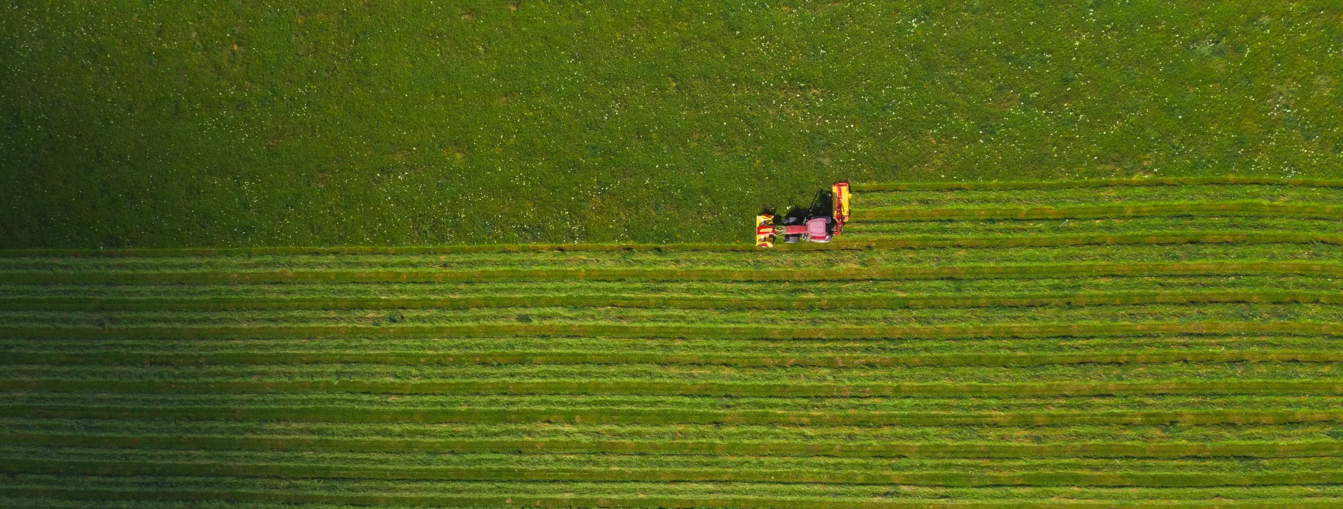 field
