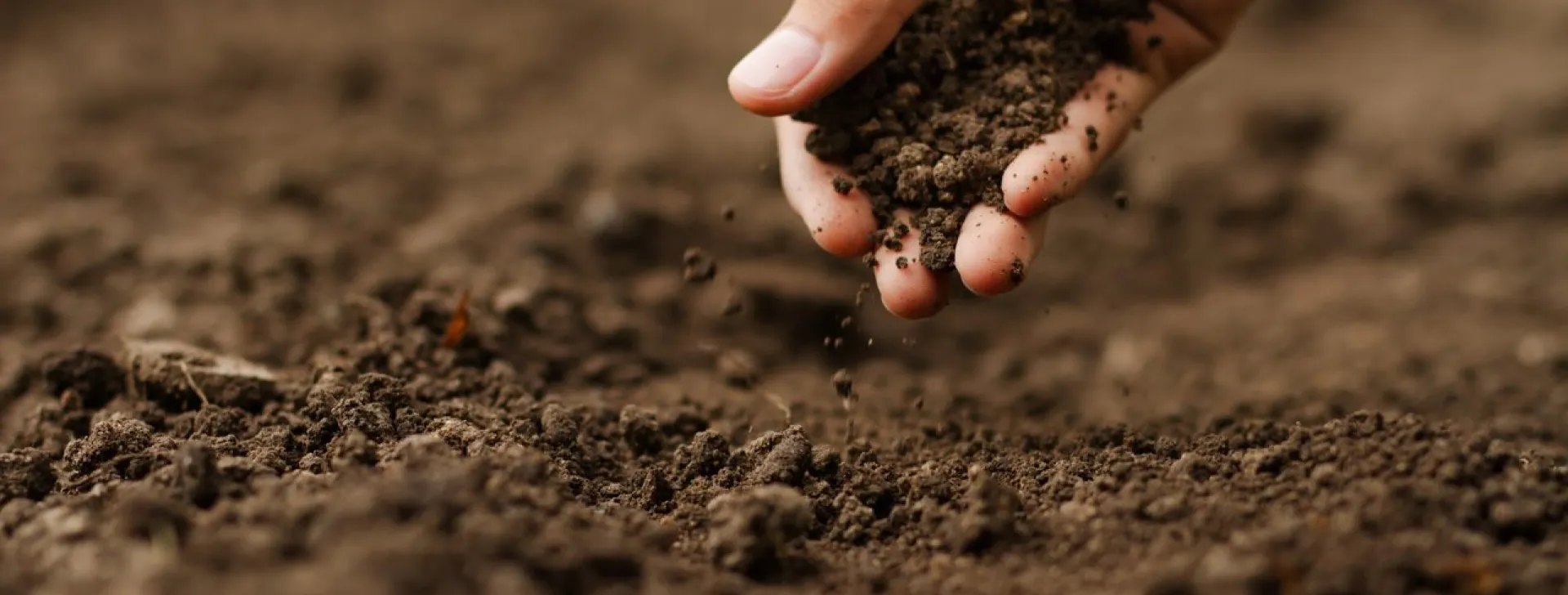 soil-health-before-planting-vegetable-seeds