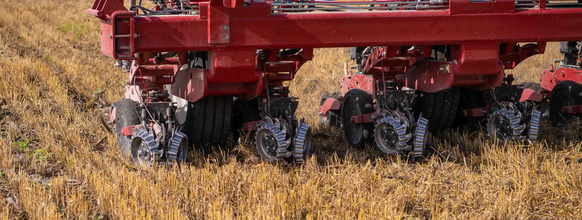 Moreland-No-Till