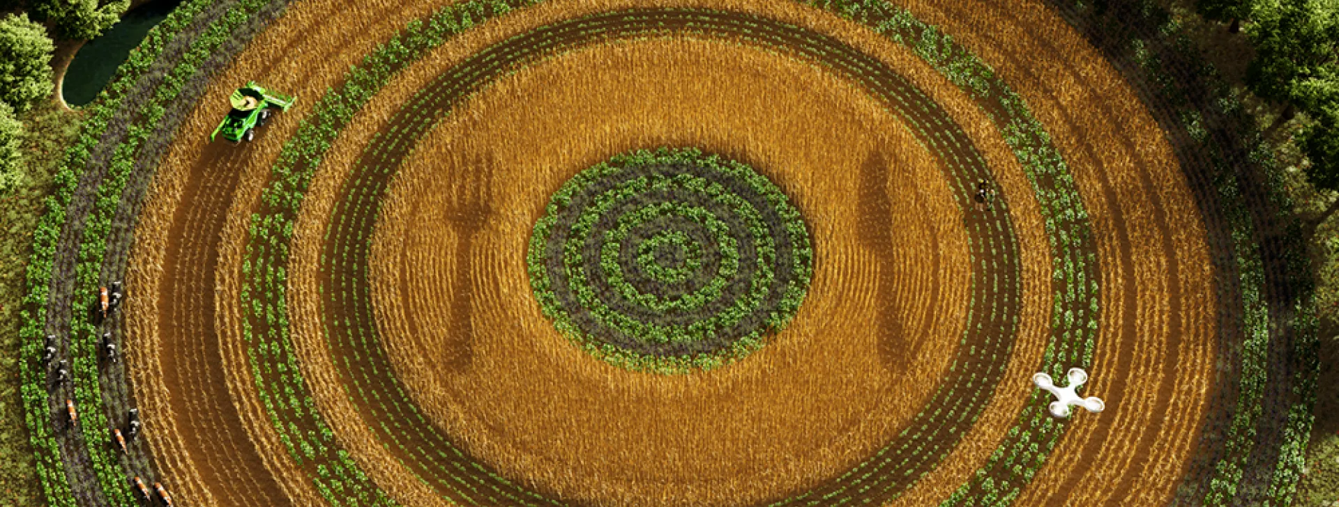 Regenerative Agriculture 