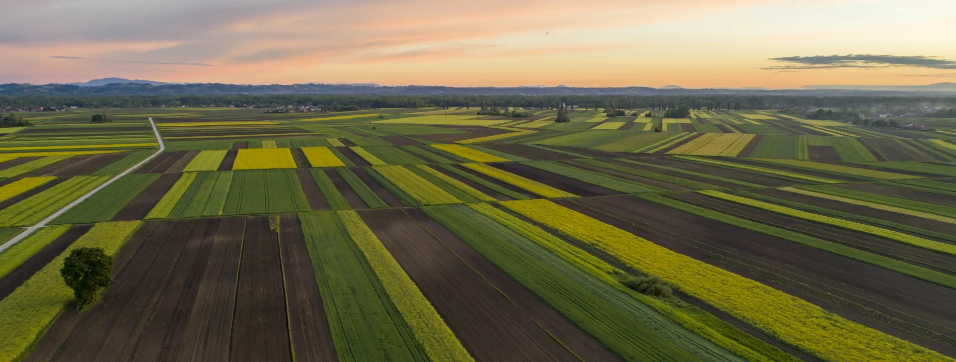 Aerial view of agricultural fields