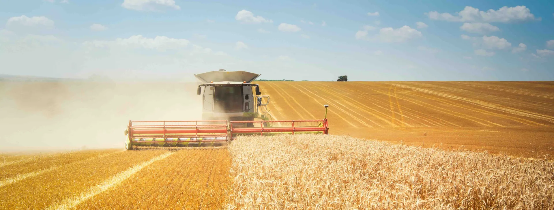 Combine harvester on wheat field