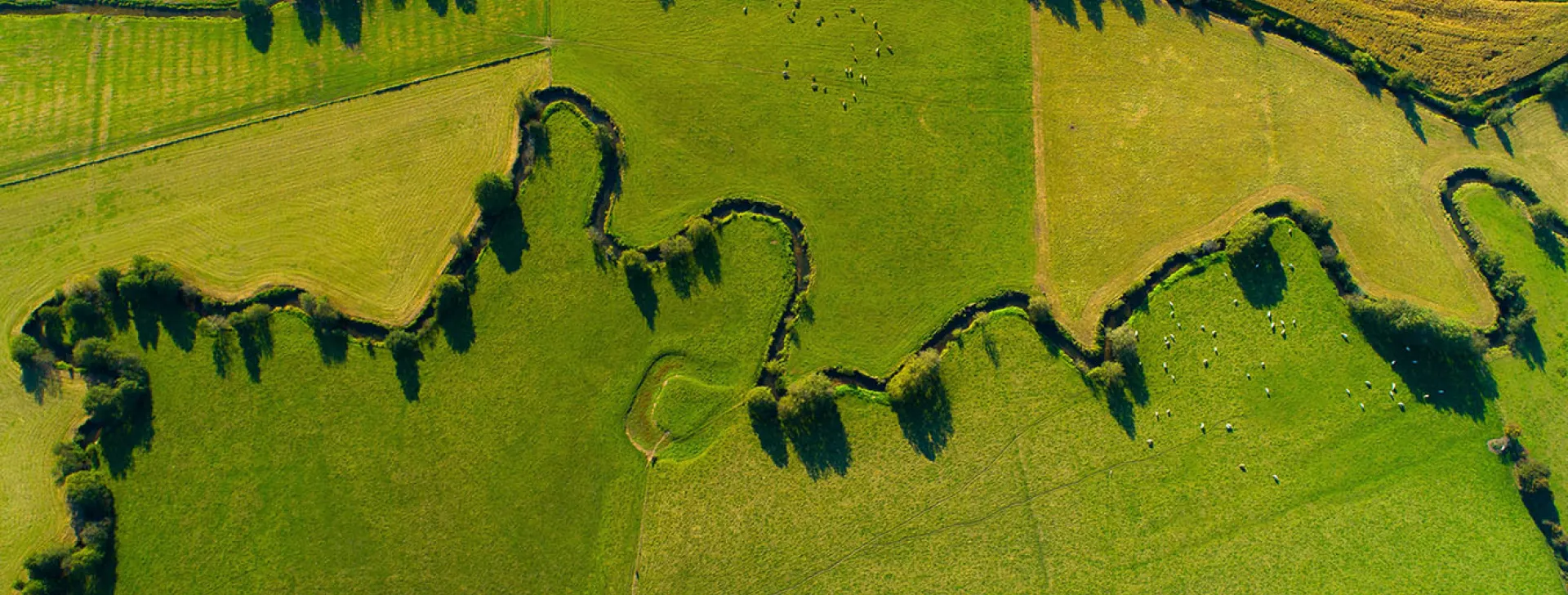 Aerial view of cultivated landscape in south France