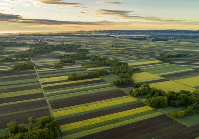 Aerial view of field for financial results 2026