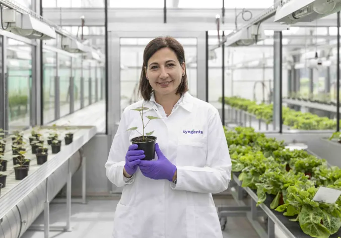 Camilla Corsi in greenhouse holding plant