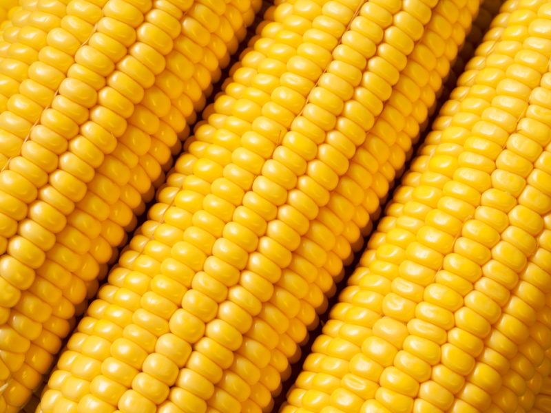 Close-up of fresh corn