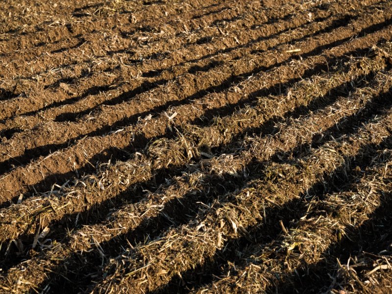 No-till seeding finished land