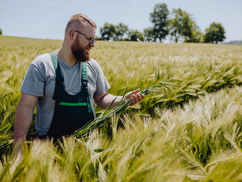 Man in field of barley