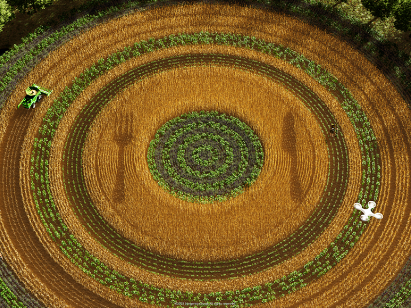 Regenerative Agriculture 