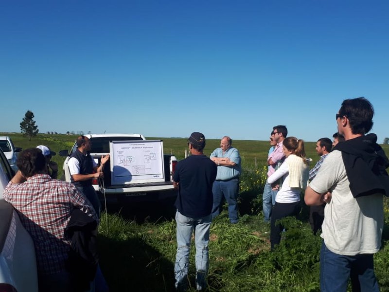 Capacitacion a campo en Trigo.