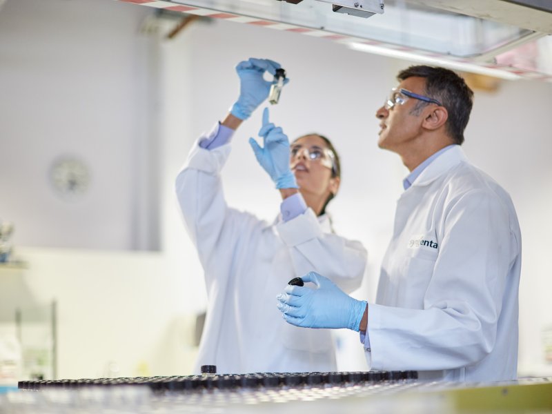 Scientists in a laboratory