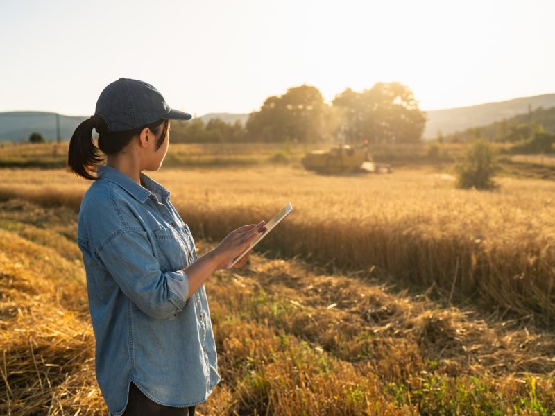Female farmer using a tablet to control combine harvester