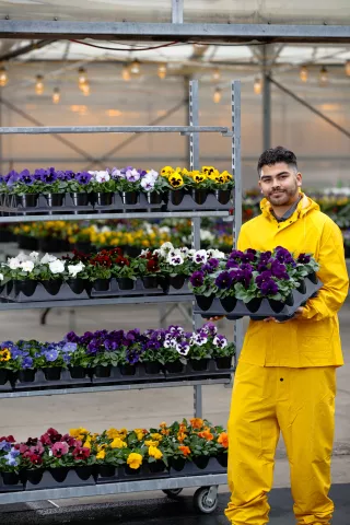 Delta Pro Grower