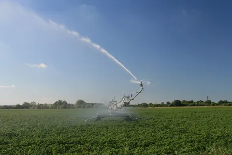 Potato irrigation