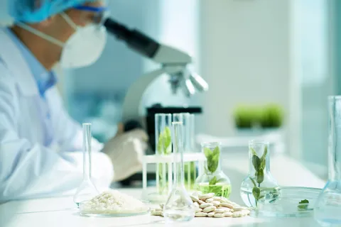 Plant biologist at work in lab