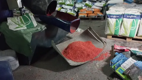 Counterfiet seeds seized