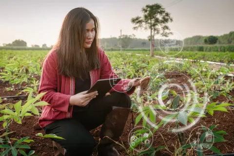 Data is the new tractor