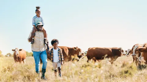Family in Africa surrounded by cows in field